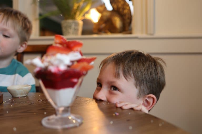 Cover Image for Your Kids Eat Free This Half Term at The Red Deer