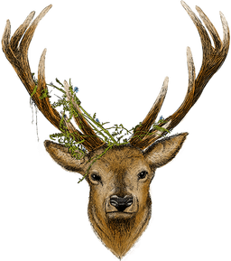 Red Deer logo